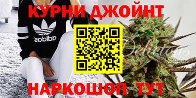 прущие грибы Нальчик