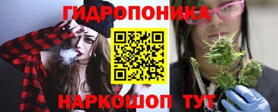 прущие грибы Нальчик