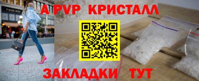 прущие грибы Нальчик