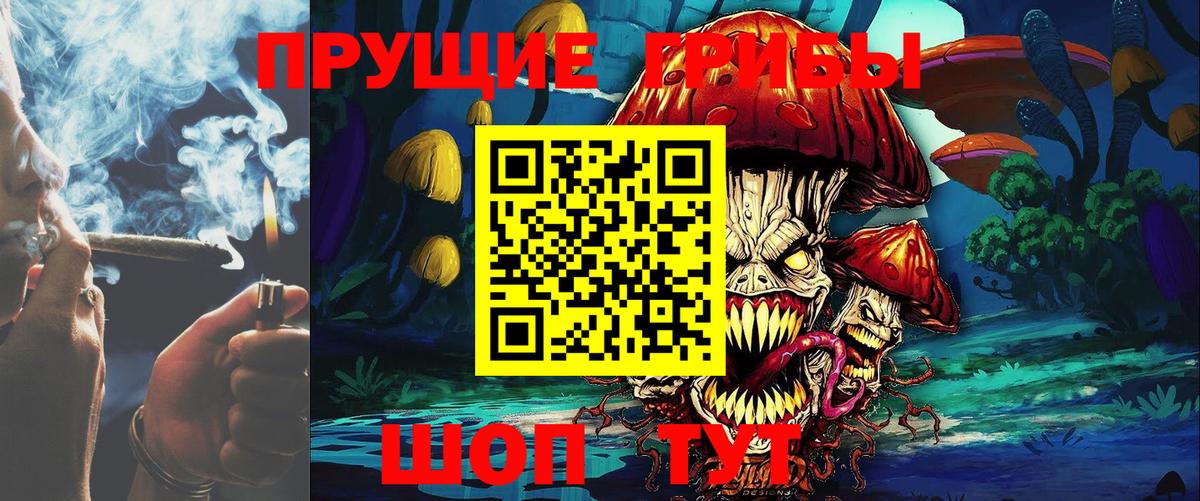 Псилоцибиновые грибы Cubensis Тихорецк